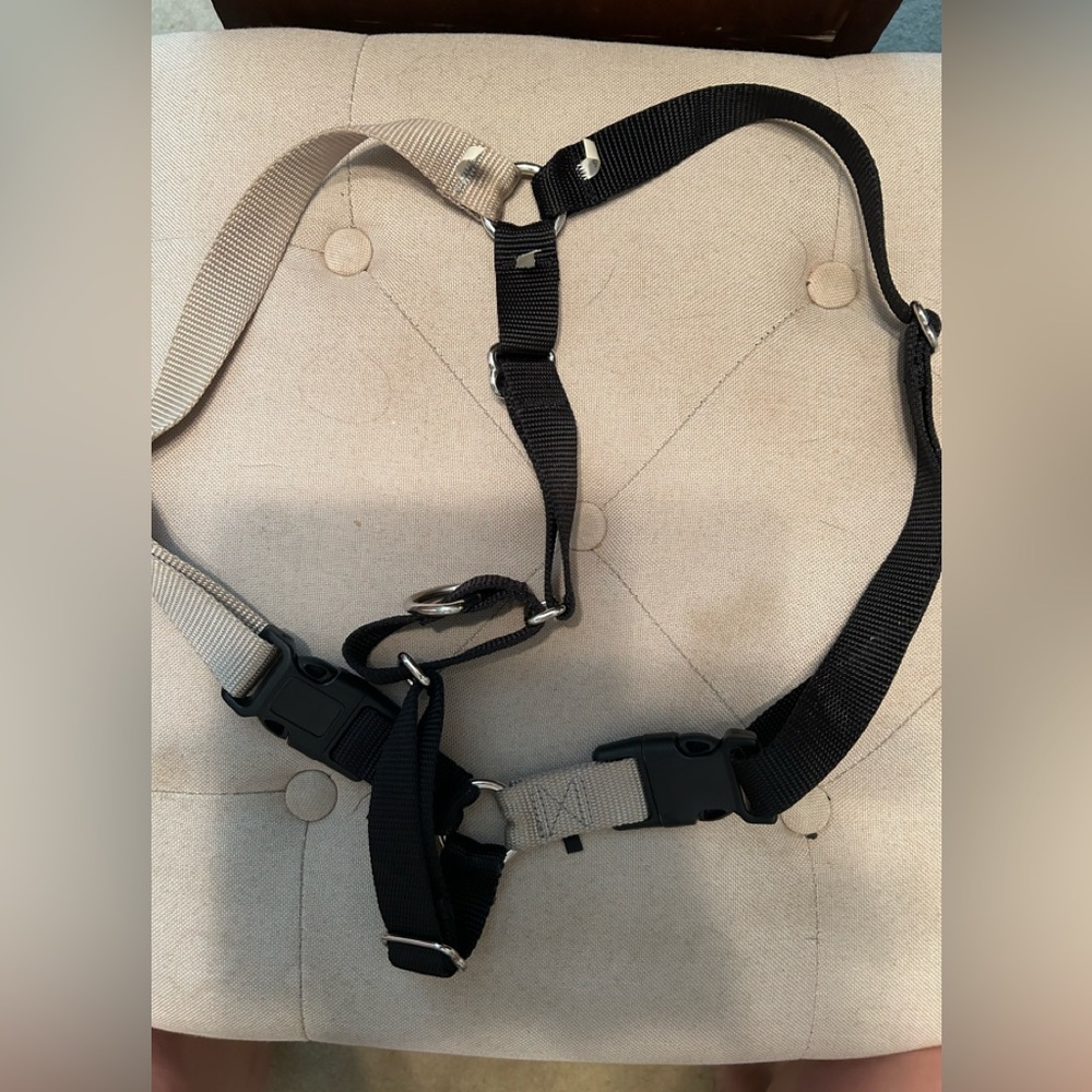 Pet safe easy walk harness